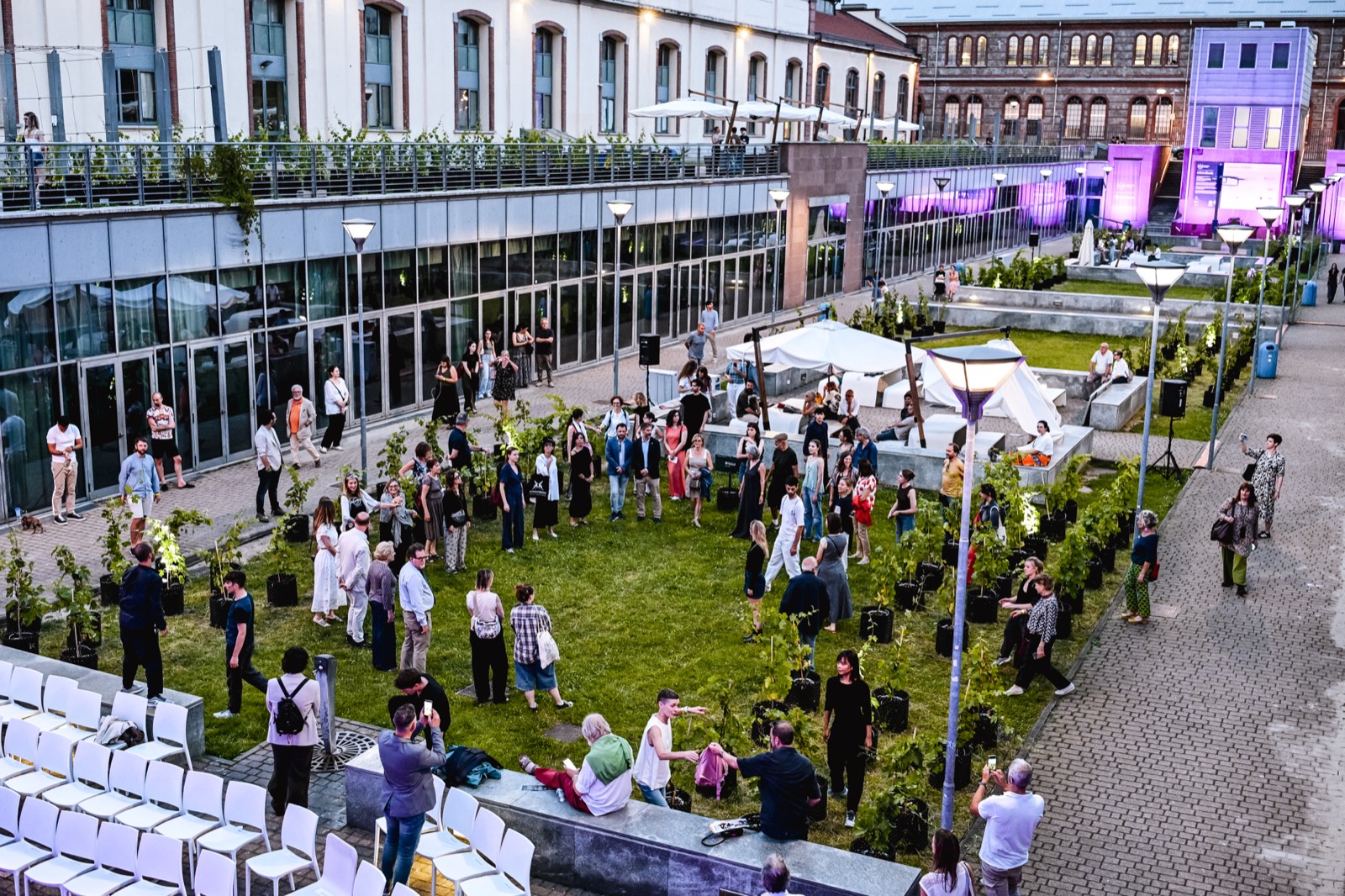 Un evento nella vigna del campus del Politecnico di Torino